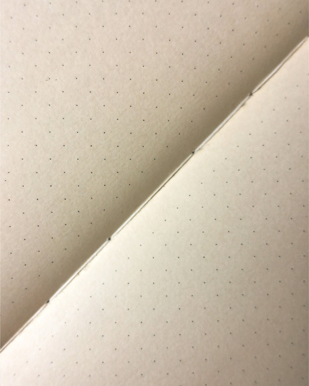 Caderno Andorinhas