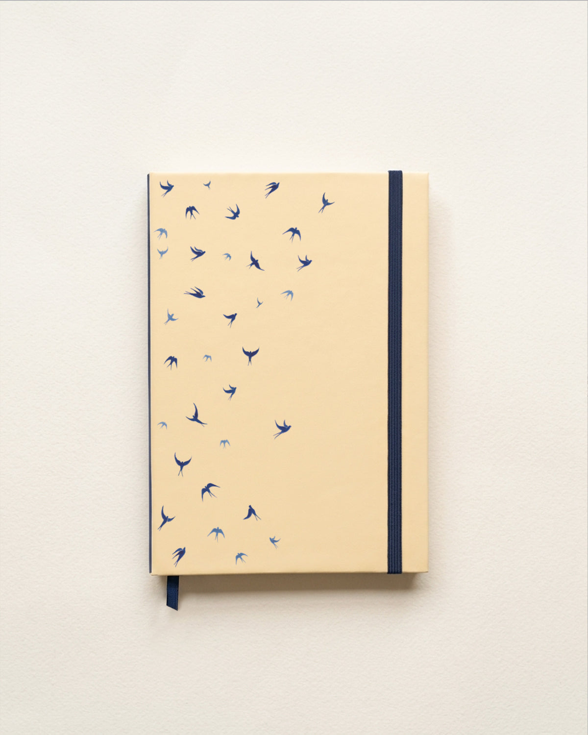Caderno Andorinhas