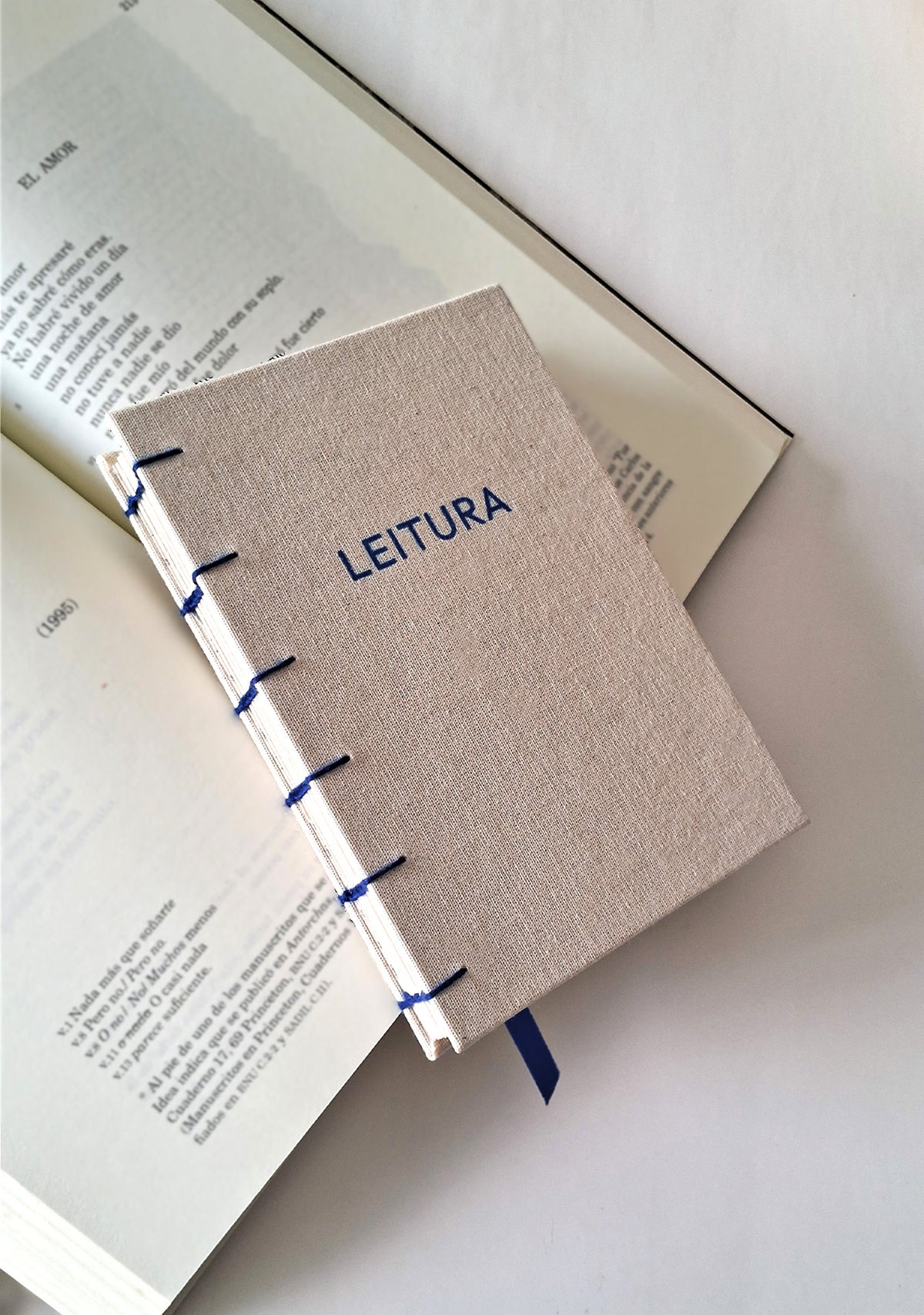 Diário de Leitura