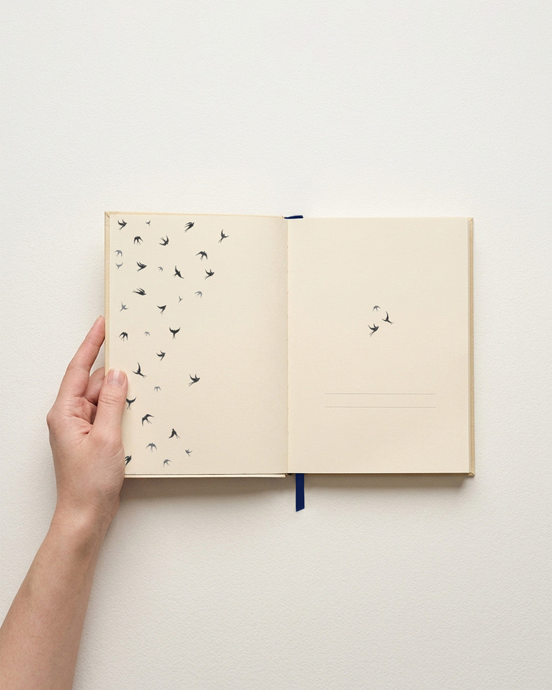 Caderno Andorinhas